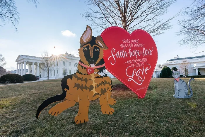 Framed Print : Cut outs of White House pets, Commander and Willow, on the North Lawn of the White House, Feb. 14, 2022, Valentine's Day