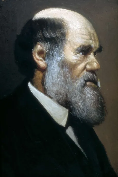 Framed Print : DARWIN, Charles Robert (1809-1882). Painting. AISA / Everett Collection**US SALES ONLY** Framed Print : DARWIN, Charles Robert (1809-1882). Painting. AISA / Everett Collection**US SALES ONLY**