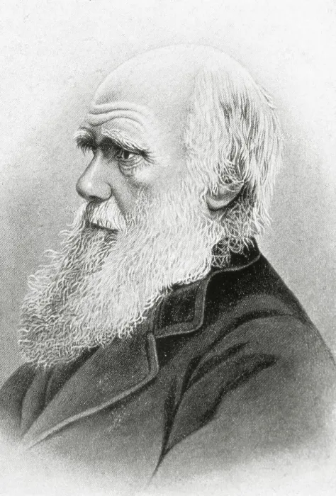 Framed Print : DARWINCharles Robert (1809-1882). British naturalistauthor of the theory of evolution by natural selection. Engraving. SPAIN. Barcelona