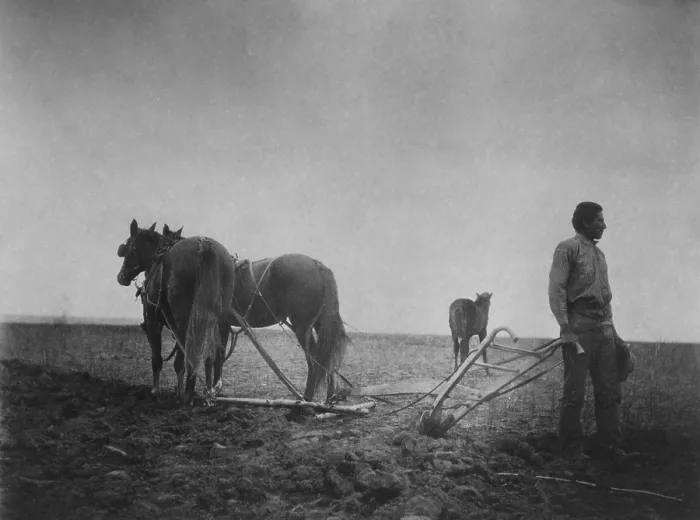 Framed Print : THE DAWN OF CIVILIZATION, a photo of a Native American in a field with a horse-drawn plow. C. 1899-1900