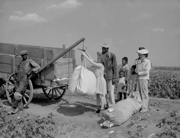 Framed Print : Day laborers wait as White plantation owner's young daughter weighs their picked cotton, Texas, 1936. Photo by Arthur Rothstein. (BSLOC_2013_8_121) Framed Print : Day laborers wait as White plantation owner's young daughter weighs their picked cotton, Texas, 1936. Photo by Arthur Rothstein. (BSLOC_2013_8_121)