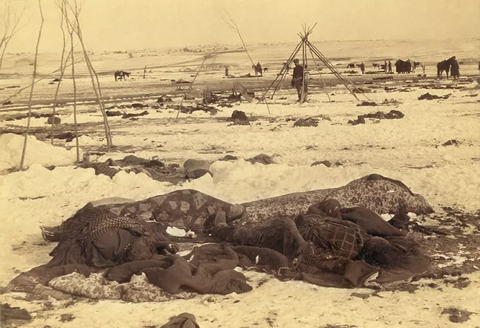 Framed Print : Several dead Lakota Sioux are wrapped in blankets after the Wounded Knee Massacre of Dec. 29, 1890