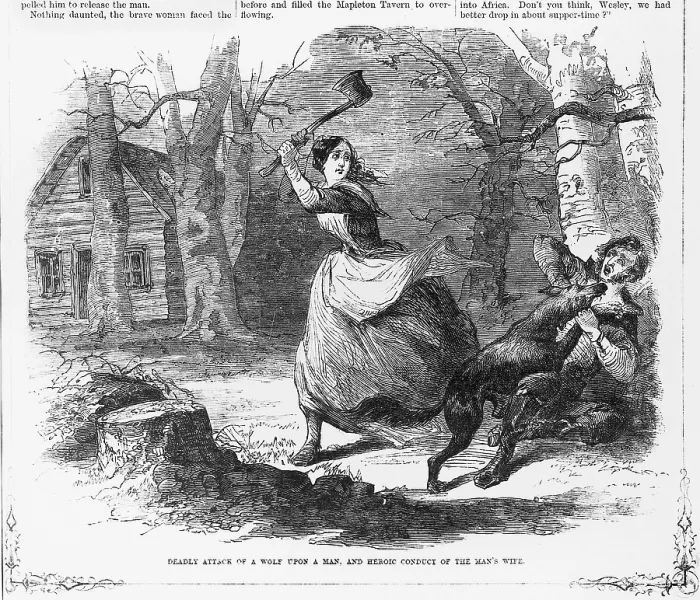 Framed Print : Deadly attack of a wolf upon a man, and heroic conduct of the man's wife. Woodcut ca 1867 Framed Print : Deadly attack of a wolf upon a man, and heroic conduct of the man's wife. Woodcut ca 1867