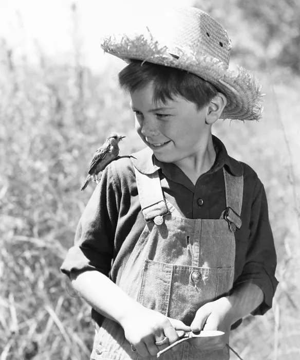 Framed Print : SO DEAR TO MY HEART, Bobby Driscoll, 1948