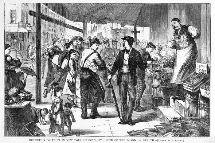 Framed Print : Decayed Fruit. Inspection of fruit in New York markets, by order of the Board of Health. Woodcut, Sept. 13, 1873 Framed Print : Decayed Fruit. Inspection of fruit in New York markets, by order of the Board of Health. Woodcut, Sept. 13, 1873