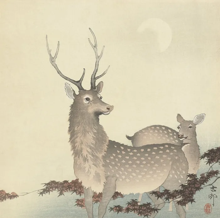 Framed Print : Two Deer, by Ohara Koson and Matsuki Heikichi, c. 1900-30, Japanese print, woodcut, (BSLOC_2016_1_238)