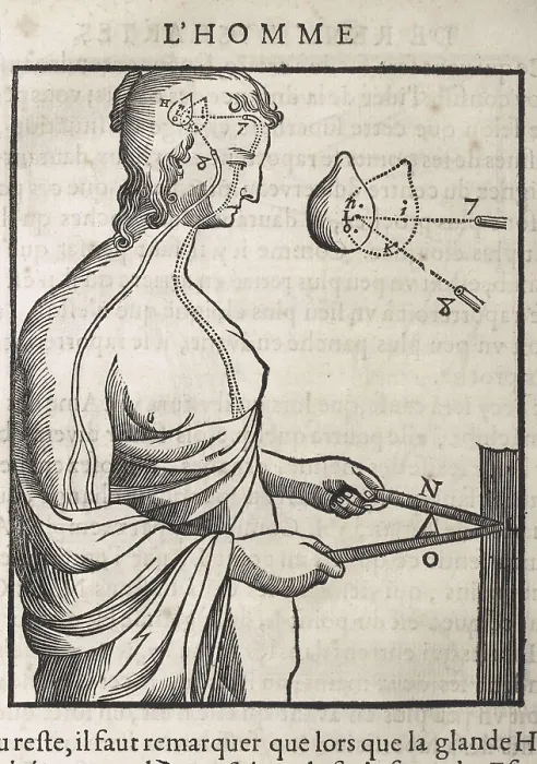Framed Print : DESCARTES, Ren (1596-1650). 'Treatise on Man' (Trait de l'Homme), work of 1633. Xylography. FRANCE. Paris. National Library. AISA / Everett Collection**US SALES ONLY** Framed Print : DESCARTES, Ren (1596-1650). 'Treatise on Man' (Trait de l'Homme), work of 1633. Xylography. FRANCE. Paris. National Library. AISA / Everett Collection**US SALES ONLY**