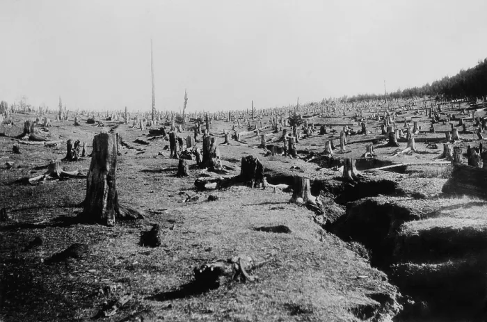 Framed Print : Destructive logging followed by fire completely destroyed this forest and caused soil erosion. Ca. 1940 Framed Print : Destructive logging followed by fire completely destroyed this forest and caused soil erosion. Ca. 1940