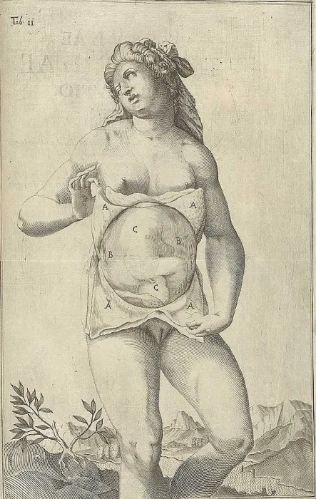 Framed Print : Development of the fetus. Female figure with womb exposed displaying a fetus from Adriaan van de Spiegel's, DE FORMATO FOETU LIBER EXORNATUS, 1626