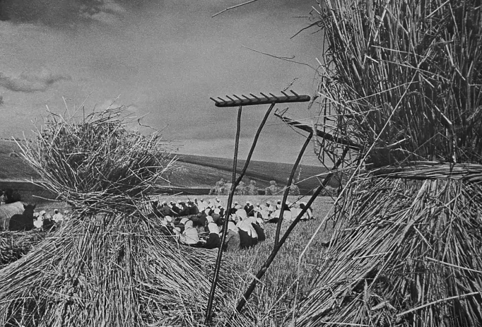 Framed Print : Dinner time during the harvest season on a Communist collective farm. Several dozen women sit in a field, with scene framed by hay bundles and rakes. Ca. 1935-40 Framed Print : Dinner time during the harvest season on a Communist collective farm. Several dozen women sit in a field, with scene framed by hay bundles and rakes. Ca. 1935-40
