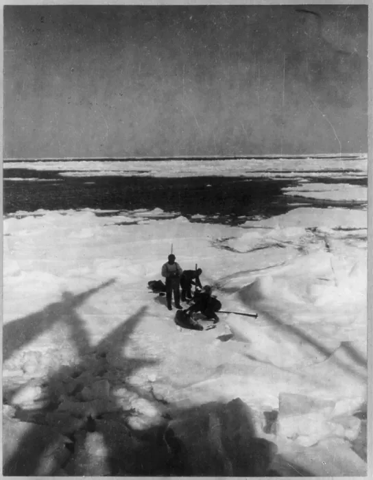 Framed Print : Discovery and exploration of the South Pole by Capt. Roald Amundsen and crew. Shown: members of the expedition capturing seals, ca. 1912 Framed Print : Discovery and exploration of the South Pole by Capt. Roald Amundsen and crew. Shown: members of the expedition capturing seals, ca. 1912