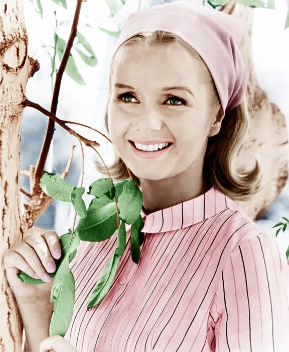 Framed Print : DIVORCE AMERICAN STYLE, Debbie Reynolds, 1967