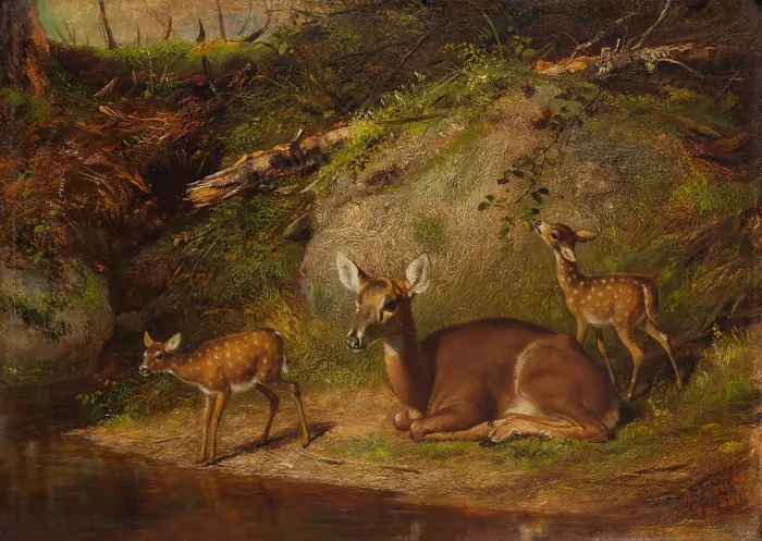Framed Print : DOE AND TWO FAWNS, by Arthur Fitzwilliam Tait, 1882, American oil painting. British born Arthur Tait began self-learning to paint without instruction as a twelve-year-old boy