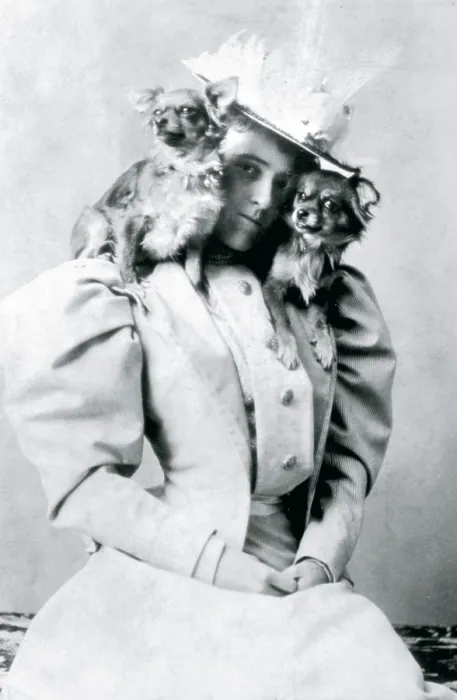 Framed Print : Edith Wharton, (1862-1937), American Novelist, c. 1890.. Courtesy: CSU Archives  /  Everett Collection