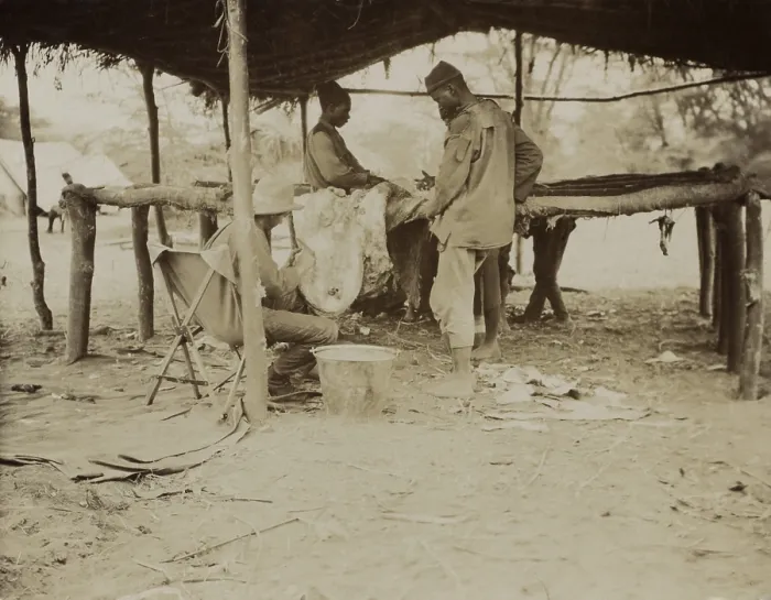 Framed Print : Edmund Heller (seated), Smithsonian naturalist, works with African men to clean a specimen