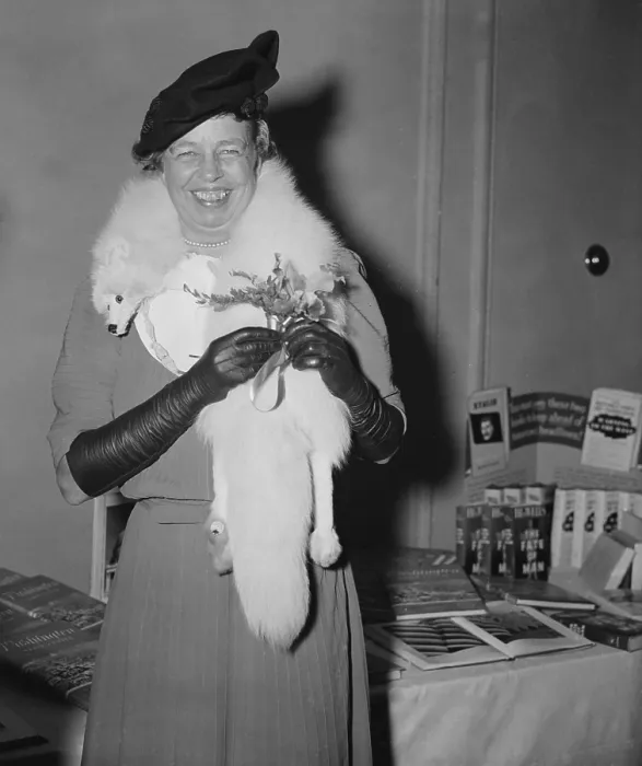 Framed Print : Eleanor Roosevelt on her 55th birthday on Oct. 11, 1939. She is holding an orchid. (BSLOC_2013_7_7) Framed Print : Eleanor Roosevelt on her 55th birthday on Oct. 11, 1939. She is holding an orchid. (BSLOC_2013_7_7)