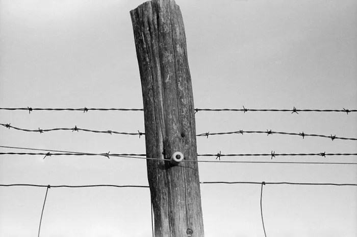 Framed Print : Electrified barbed wire fence. As the New Deal's Rural electrification program connected farmers, they powered up their fences Framed Print : Electrified barbed wire fence. As the New Deal's Rural electrification program connected farmers, they powered up their fences