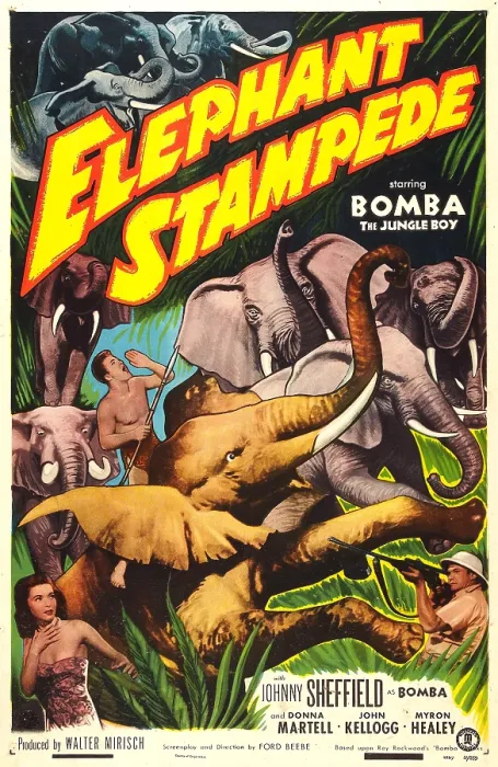Framed Print : ELEPHANT STAMPEDE, (aka BOMBA AND THE ELEPHANT STAMPEDE), US poster, Johnny Sheffield (riding elephant), Donna Martell (bottom left), John Kellogg (bottom right), 1951 Framed Print : ELEPHANT STAMPEDE, (aka BOMBA AND THE ELEPHANT STAMPEDE), US poster, Johnny Sheffield (riding elephant), Donna Martell (bottom left), John Kellogg (bottom right), 1951