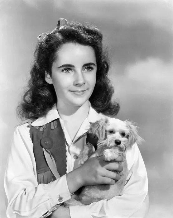 Framed Print : Elizabeth Taylor, ca. 1945 Framed Print : Elizabeth Taylor, ca. 1945