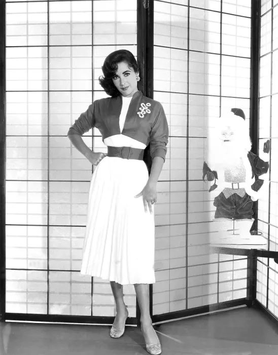 Framed Print : Elizabeth Taylor, ca. 1951 Framed Print : Elizabeth Taylor, ca. 1951