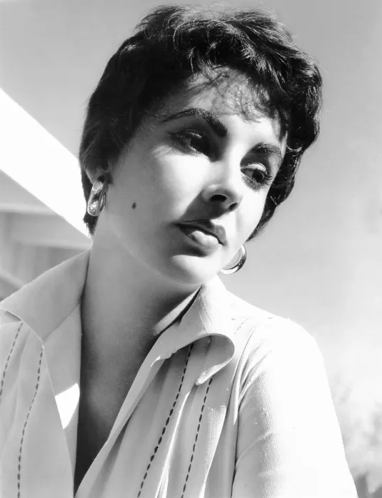 Framed Print : Elizabeth Taylor, ca. 1954 Framed Print : Elizabeth Taylor, ca. 1954