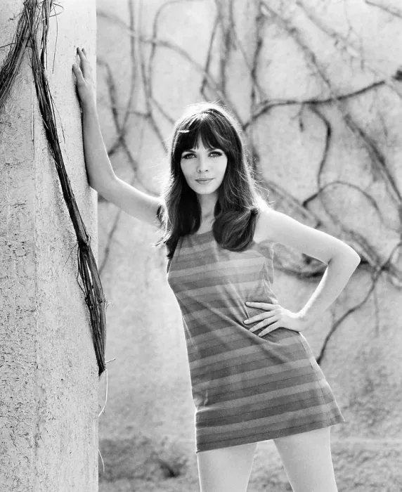 Framed Print : Elsa Martinelli, ca. late 1960s