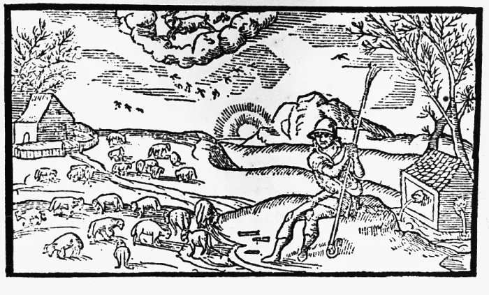 Framed Print : English shepherd of 16th c. Xylography. UNITED KINGDOM. London. The British Museum. AISA / Everett Collection (92269)**US SALES ONLY**