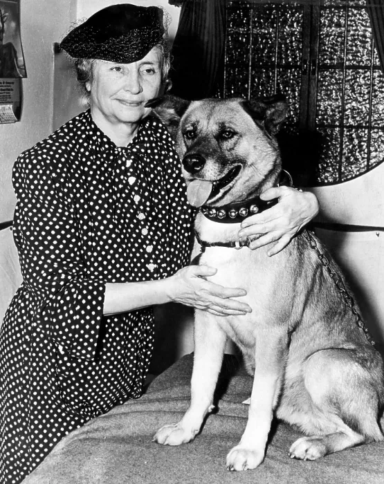Framed Print : EV1845 - Helen Keller with the seeing eye dog, Kanzan Go, that was presented to her by the Japanese State Department, July 1939. Courtesy: CSU Archives  /  Everett Collection