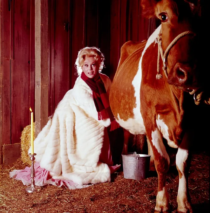 Framed Print : Eva Gabor of GREEN ACRES, 1969