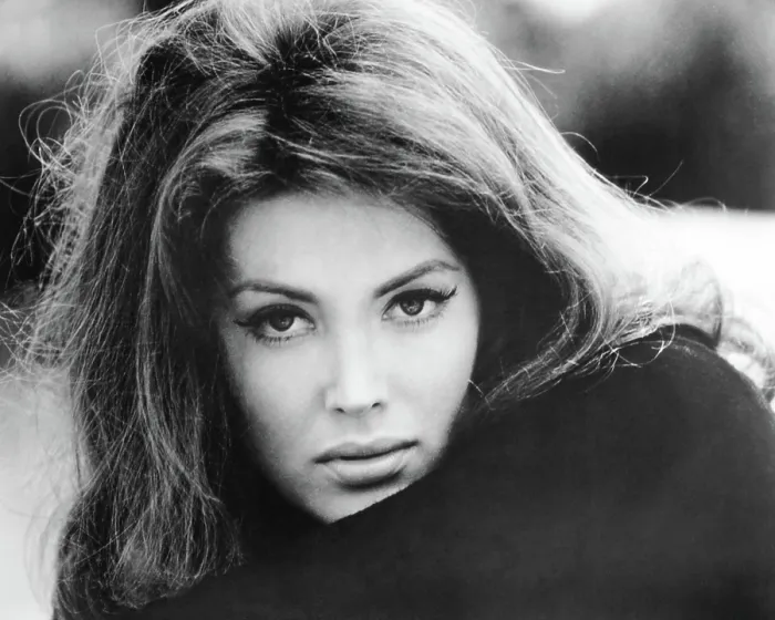 Framed Print : EYE OF THE CAT, Gayle Hunnicutt, 1969