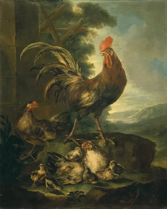 Framed Print : Farm animals: a cock, two chickens and seven chicks (Animali da cortile: gallo, due galline e sette pulcini), by Angiolo Maria Crivelli also known as Crivellone, 1700 - 1730