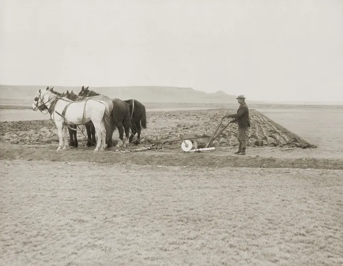 Framed Print : A farmer turns over the first sod on a new homestead in Sun River, Montana, November 1908. This photograph by Walter J