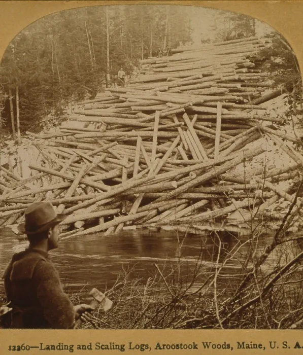 Framed Print : Felled logs ready to enter the Aroostook River. A lumberjack in the foreground holds axe. Aroostook Woods, Maine, 1903 Framed Print : Felled logs ready to enter the Aroostook River. A lumberjack in the foreground holds axe. Aroostook Woods, Maine, 1903