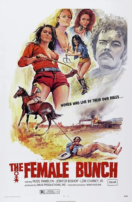 Framed Print : THE FEMALE BUNCH, US poster art, Russ Tamblyn (right), 1969