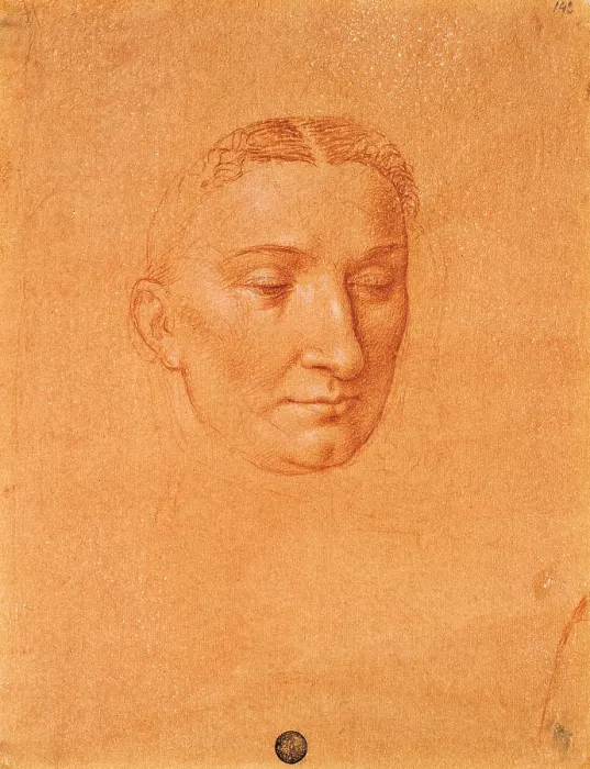 Framed Print : Female Head, by Cesare da Sesto, 16th Century, 1516 -1517 about, sanguine on red prepared paper, cm 27, 5 x 21, 3 - Italy, Veneto, Venice, Accademia Art Galleries, cat. n. 142