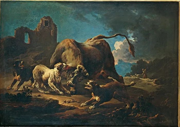 Framed Print : Fight between some dogs and a bull, by Anonymous related to Philipp Peter Roos also called Rosa from Tivoli, ca