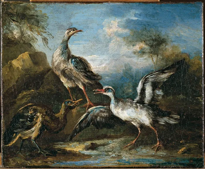 Framed Print : Fight Between Herons (Lotta tra ardeidi), Workshop of Angiolo Maria Crivelli also known as Crivellone, 18th Century, oil on canvas - Italy, Lombardy, Milan, Castello Sforzesco