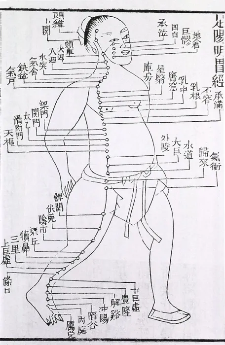 Framed Print : Figure with acupuncture points and meridian for stomach and foot disorders annotated with Chinese characters in a 1875 text