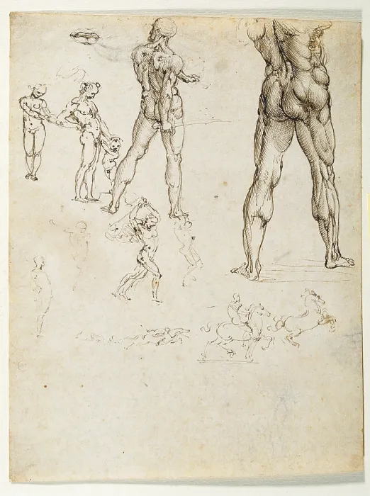 Framed Print : Figure studies and nudes for the Battle of Anghiari, by Leonardo da Vinci, 16th Century, 1505 about, traces of black chalk and pen, mm 254 x 197 - Italy, Piemonte, Turin