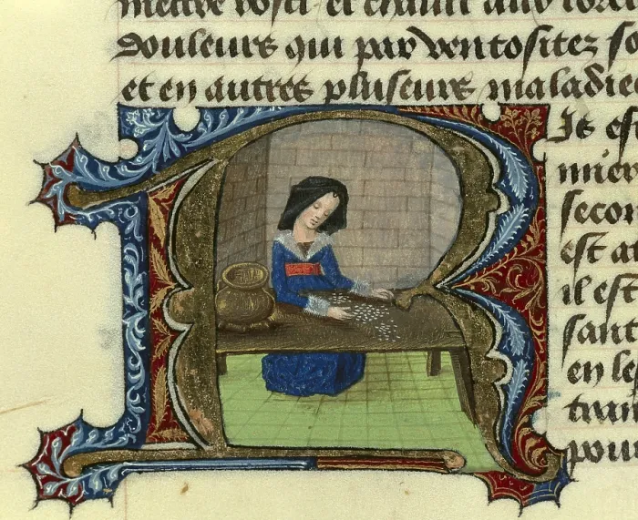 Framed Print : FIRENZE, Aldebrando da (14th century). Treatise on medicine. 1356. Fol. 74r. Properties of rice. Gothic art. Miniature Painting. PORTUGAL. Lisbon. Ajuda Library