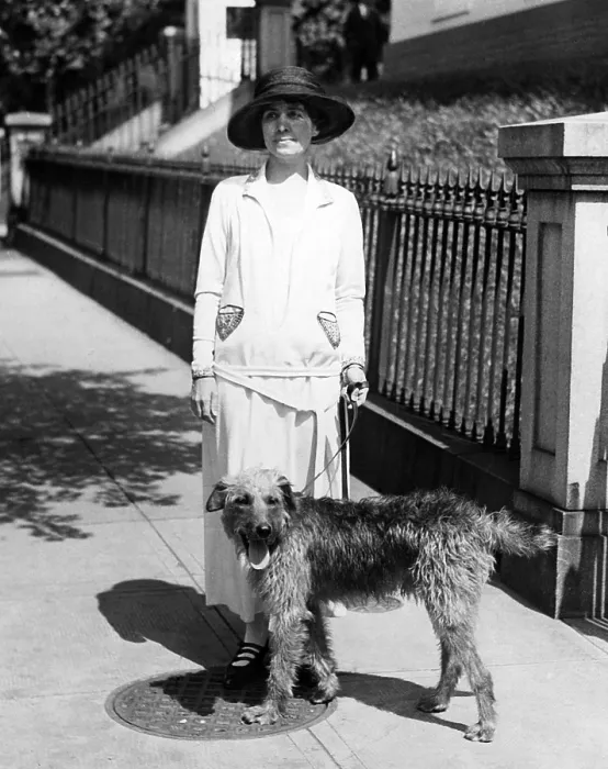 Framed Print : First Lady Grace Coolidge takes the dog out for a walk, 1924. Courtesy: CSU Archives / Everett Collection Framed Print : First Lady Grace Coolidge takes the dog out for a walk, 1924. Courtesy: CSU Archives / Everett Collection