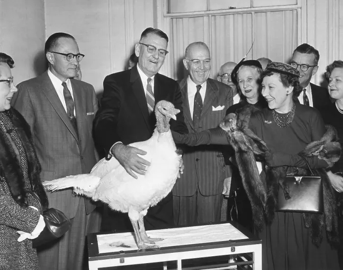 Framed Print : First Lady Mamie Eisenhower receiving a live Thanksgiving Turkey. Nov, 14, 1957. - (BSLOC_2014_16_96)