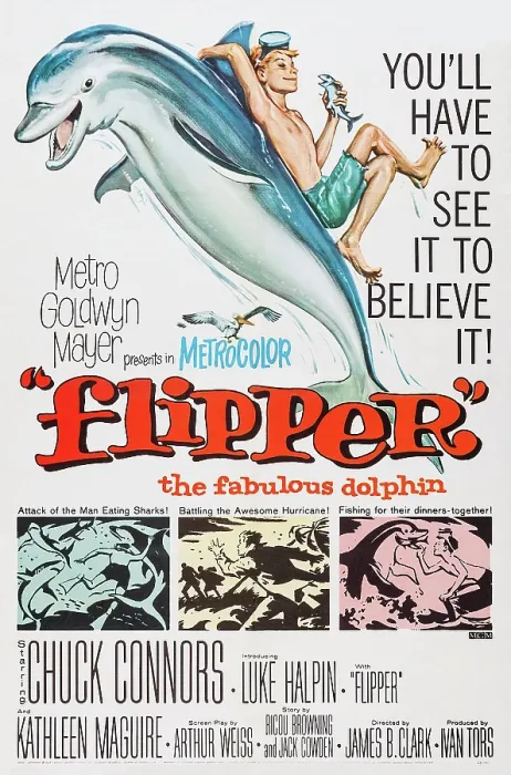 Framed Print : FLIPPER, Flipper on poster art, 1963