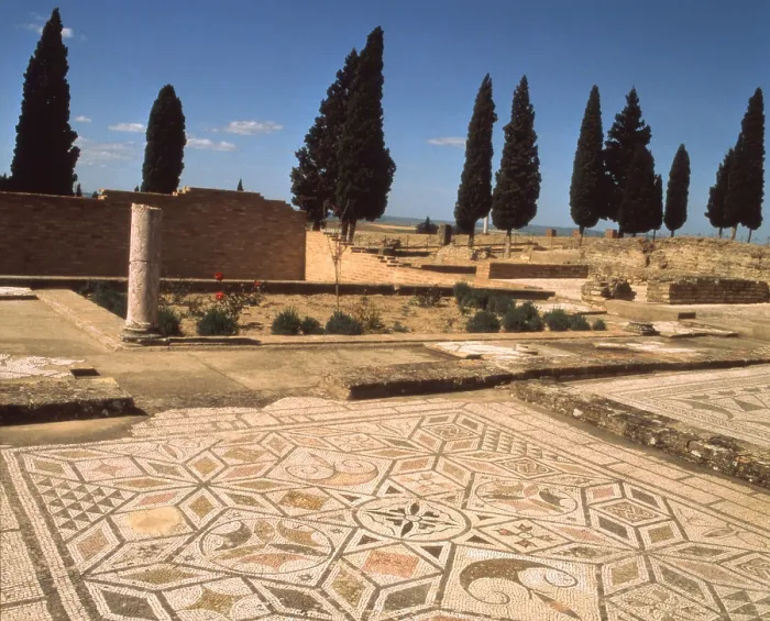 Framed Print : Flooring of a house, 2nd Century b.C. mosaic - Spain, Italica. Detail. Mosaic floor. - 2004 /  / Mondadori Portfolio / Everett Collection (1829252)**US SALES ONLY**