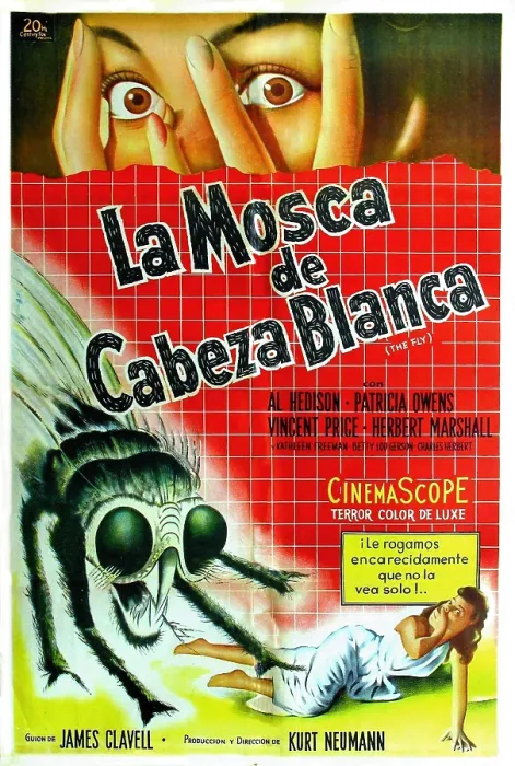Framed Print : THE FLY, Patricia Owens (top and lower right) on Italian poster art, 1958, TM and Copyright 20th Century Fox Film Corp. All rights reserved / courtesy Everett Collection