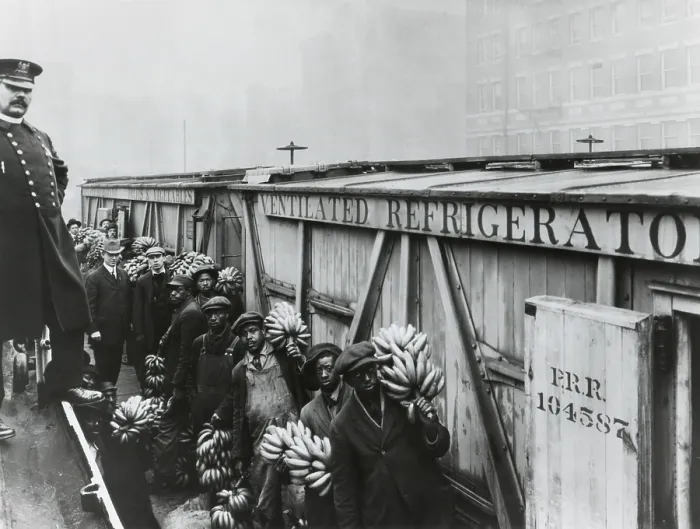 Framed Print : Food and Drug Administration inspector ready to inspect bananas in Baltimore, c. 1910. African American men stand with a fruit next to refrigerated railroad boxes Framed Print : Food and Drug Administration inspector ready to inspect bananas in Baltimore, c. 1910. African American men stand with a fruit next to refrigerated railroad boxes