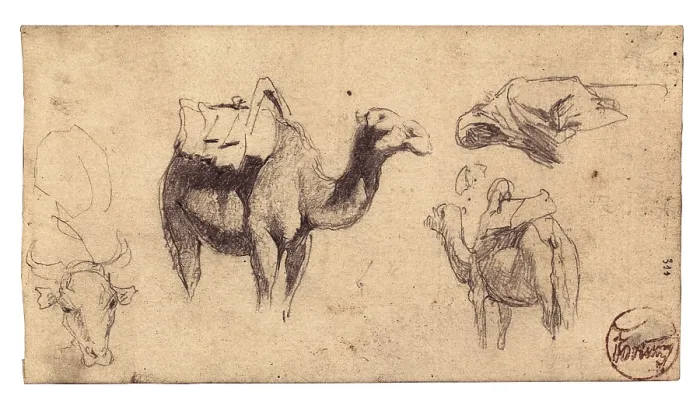 Framed Print : FORTUNY I MARSAL, Mariano (1838-1874). Camels. Notes from the War of Africa (Hispano-Moroccan War), 1860. Drawing with pencil. Romanticism. Drawing. SPAIN. Reus