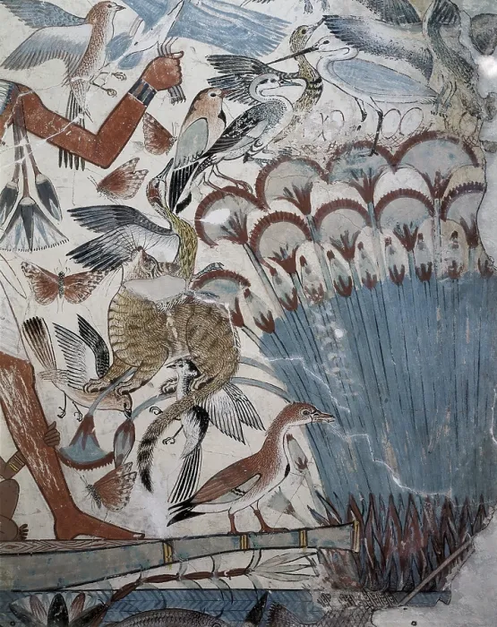 Framed Print : Fowling in the marshes. ca. 1400 BC. Painting of the Nebamun's tomb. Lower left detail with plants and animals of Nile river. Egyptian art. New Kingdom. Painting Framed Print : Fowling in the marshes. ca. 1400 BC. Painting of the Nebamun's tomb. Lower left detail with plants and animals of Nile river. Egyptian art. New Kingdom. Painting