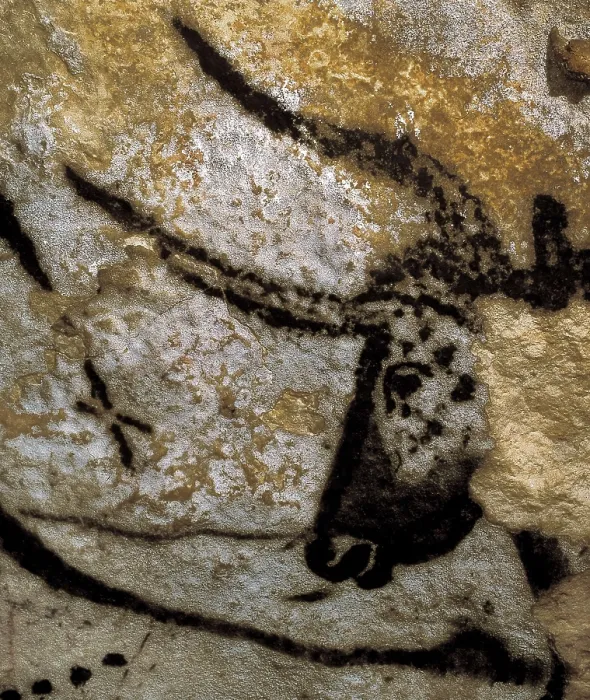 Framed Print : FRANCE. Montignac. The Cave of Lascaux. Bull head, situated at the right wall in the great hall. Upper Paleolithic. Magdalenian. Cave. AISA / Everett Collection**US SALES ONLY**