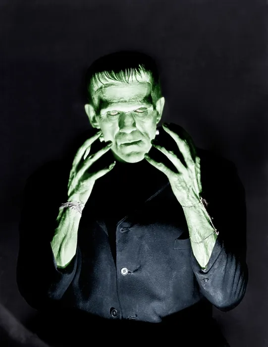 Framed Print : FRANKENSTEIN, Boris Karloff, 1931 Framed Print : FRANKENSTEIN, Boris Karloff, 1931